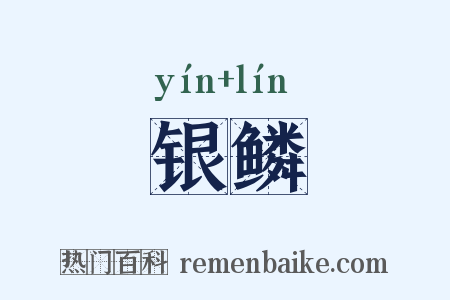 银鳞是什么意思的图片